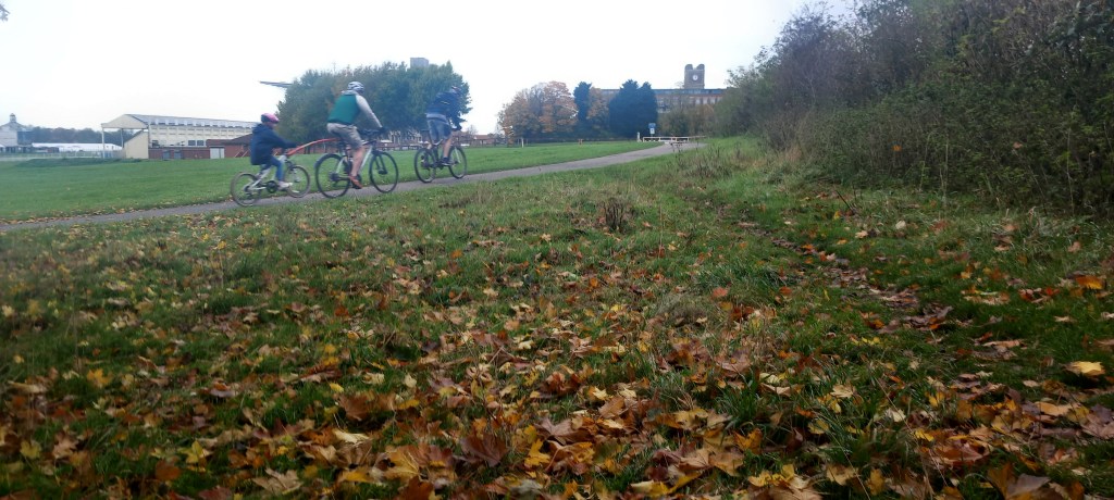 Patch of low grass sprinkled with brown leaves