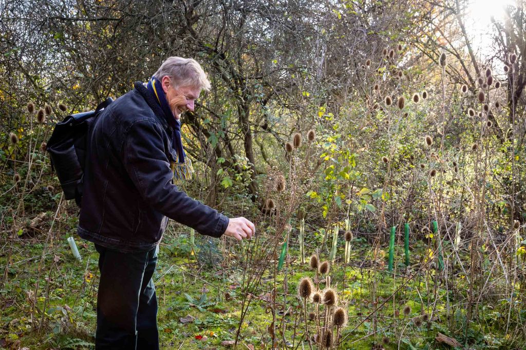 Man smiling outdoors