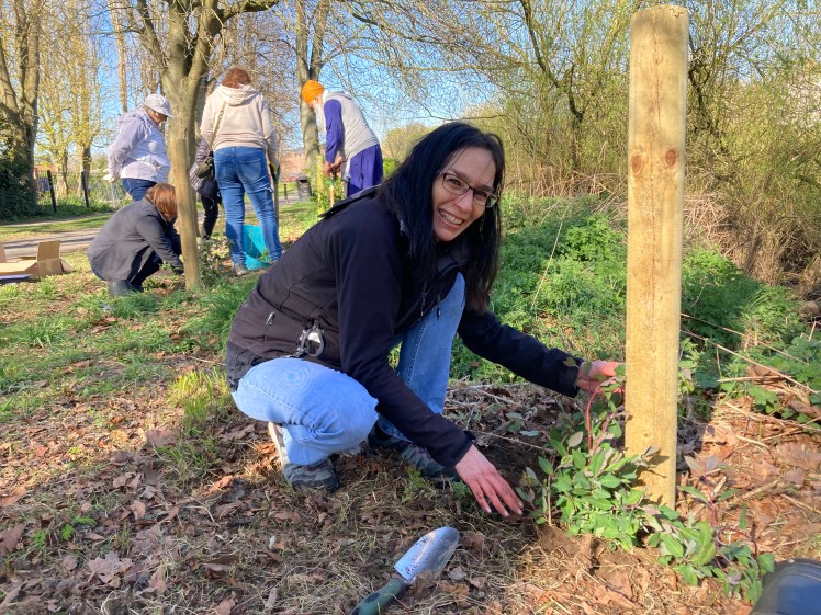 Woman smiling as she plants Honeysuckle plant, people working behind.