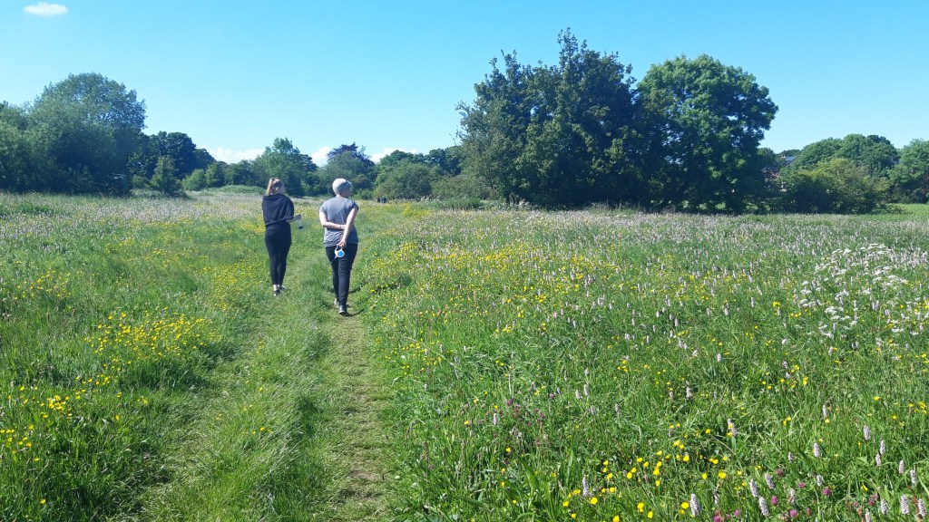Group walk through a flower-filled meadow