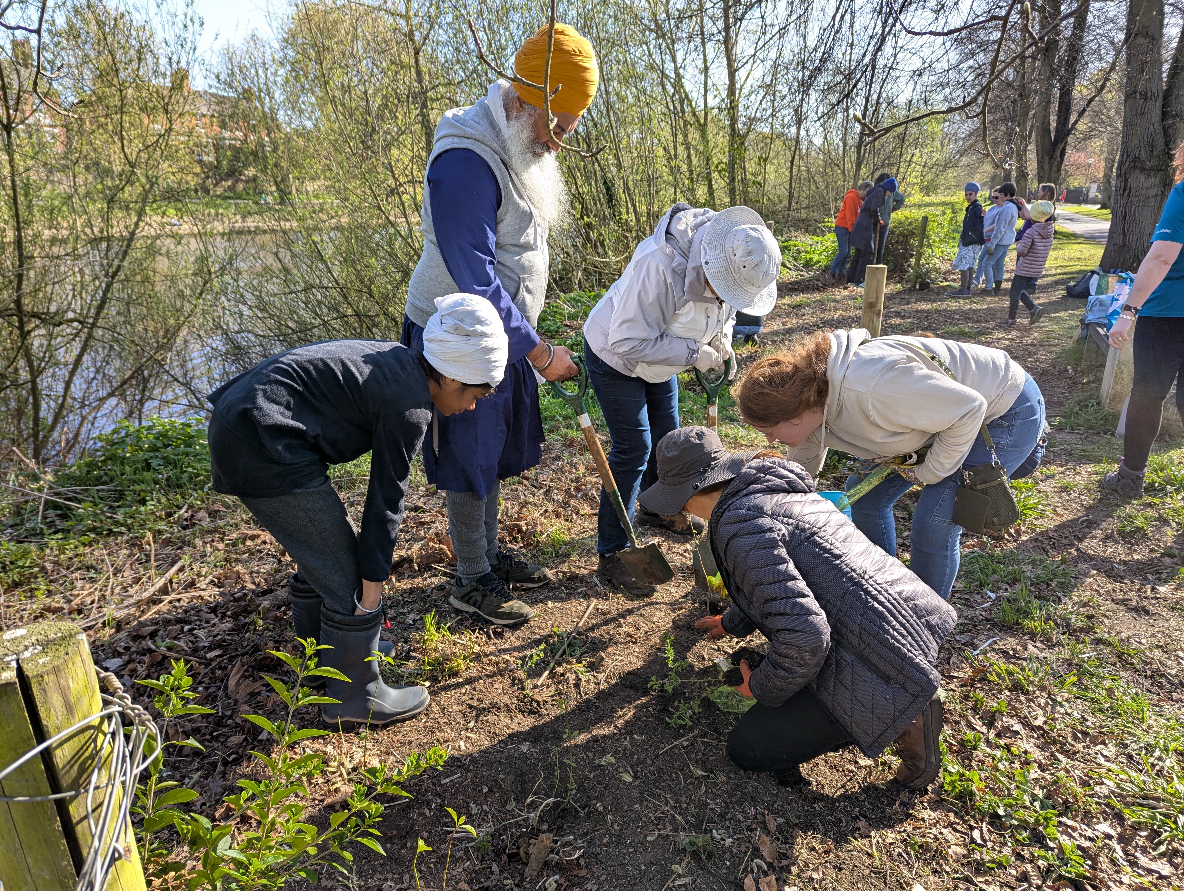 Group of people planting a hedge