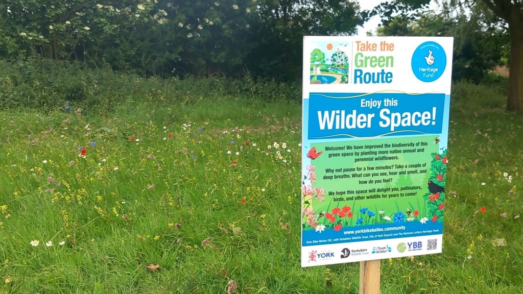 Wilder space sign on a meadow