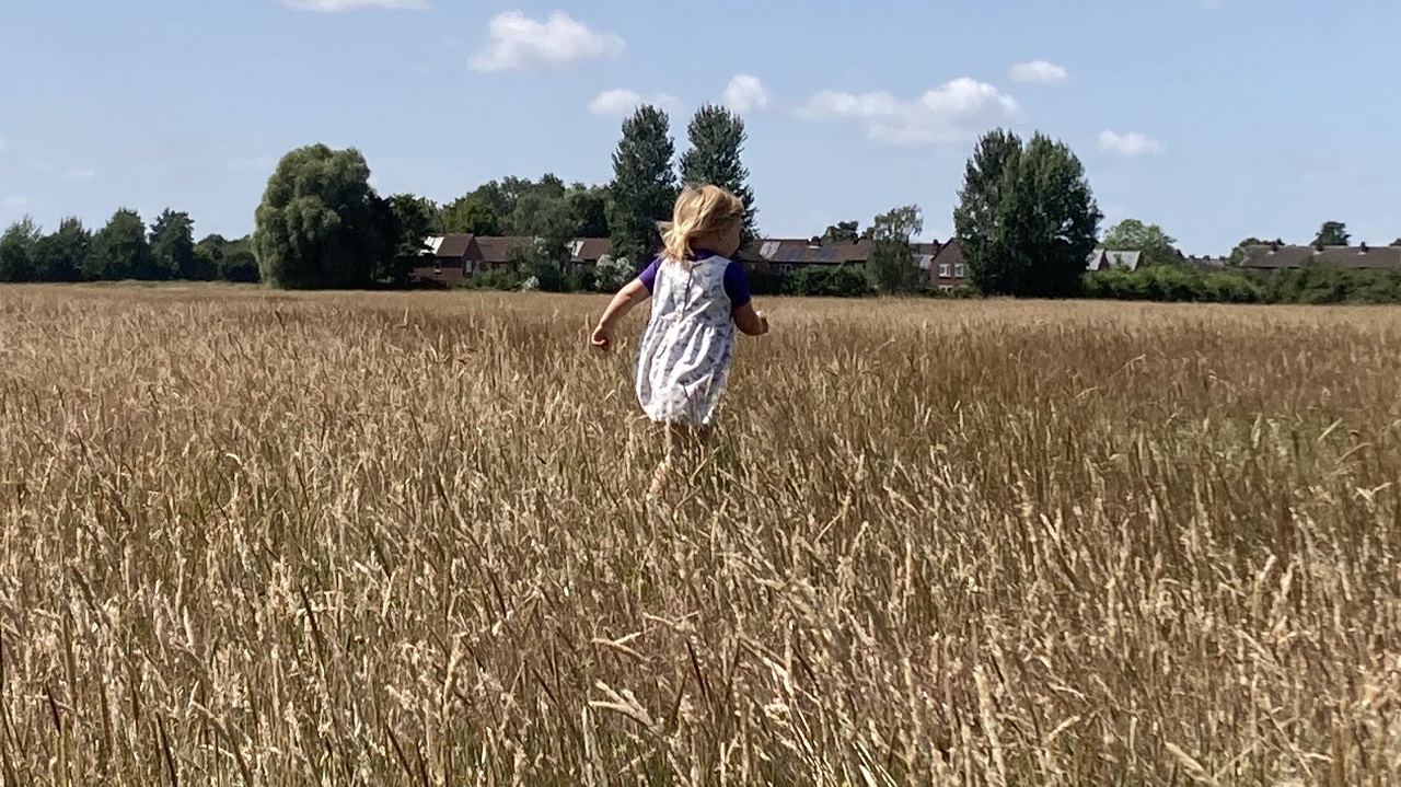 Girl runs through golden grasses on Hob Moor.