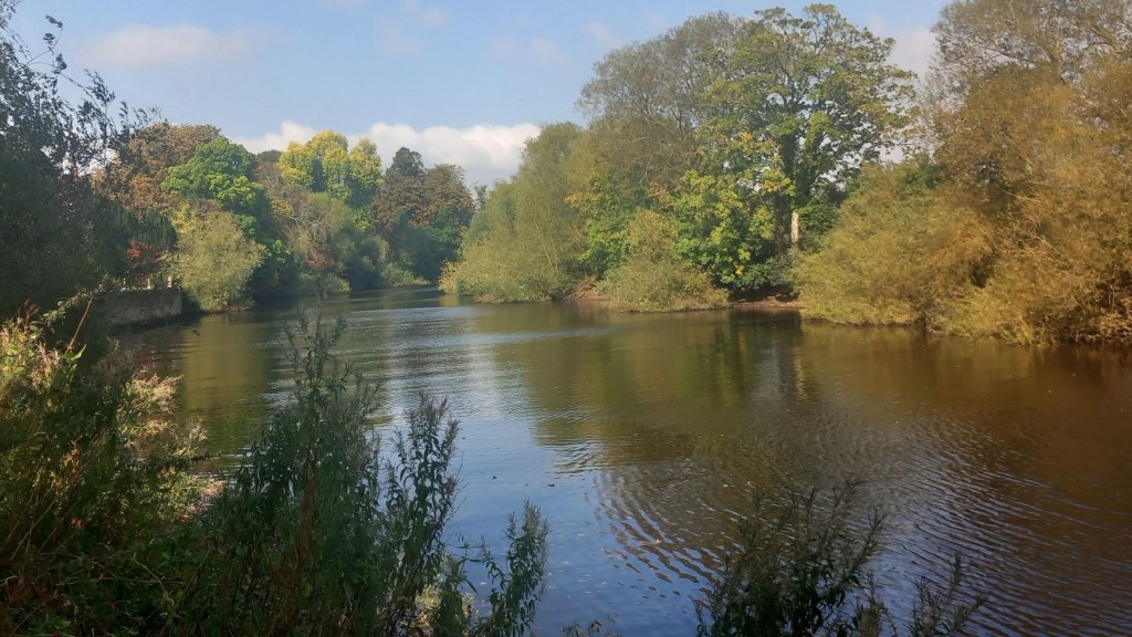 Riverside trees turning yellow and orange