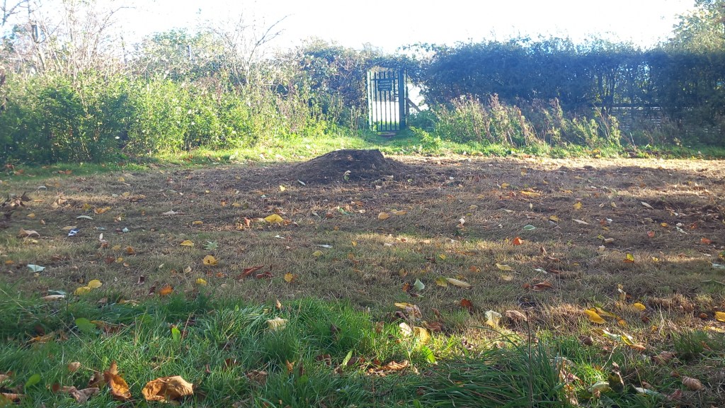 Brown grassy area just strimmed and sown with Wildflower seeds