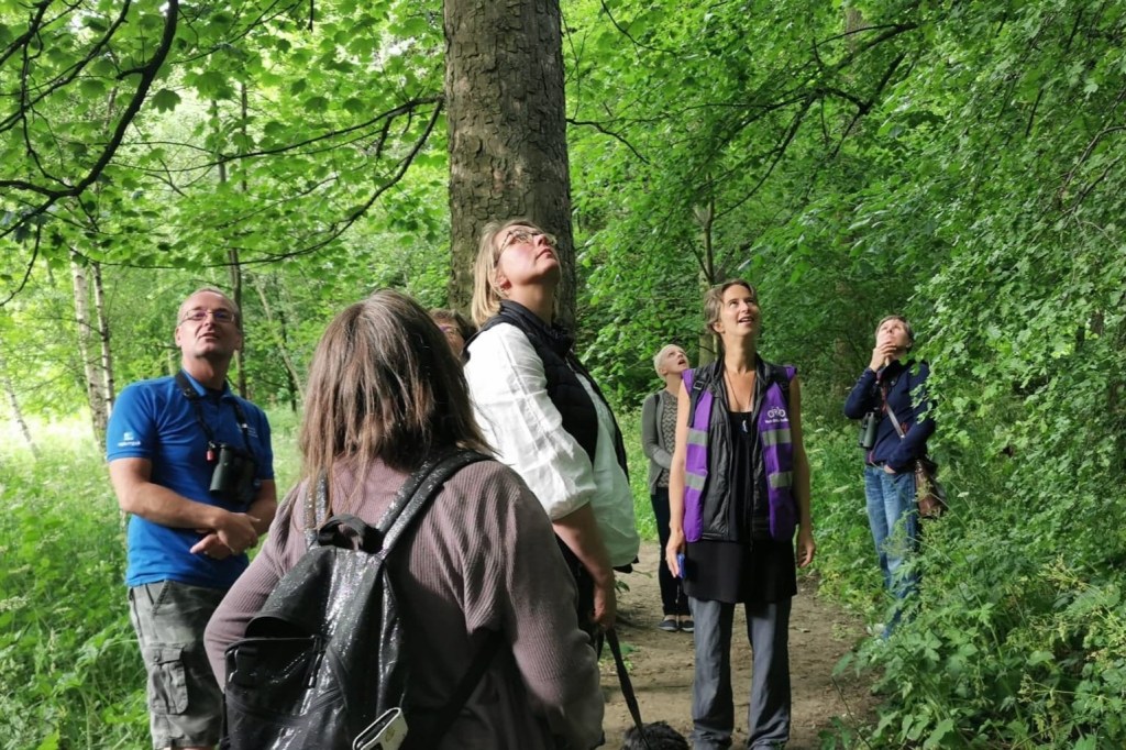 Group of people look up in a wood, and listen.
