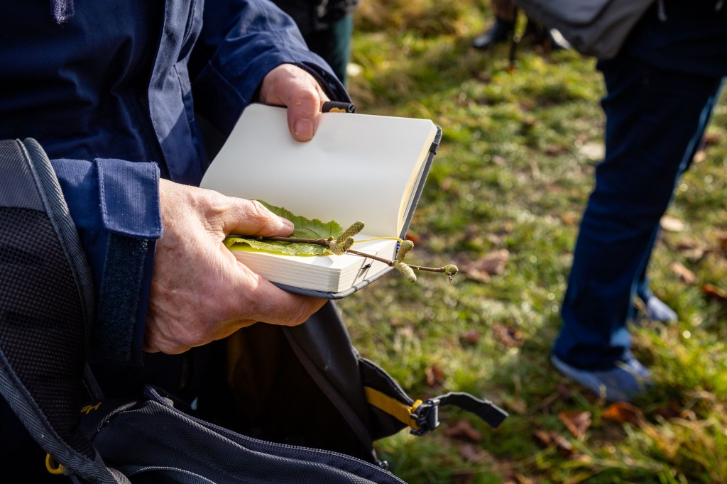 Man holds a leaf pressed into a notebook